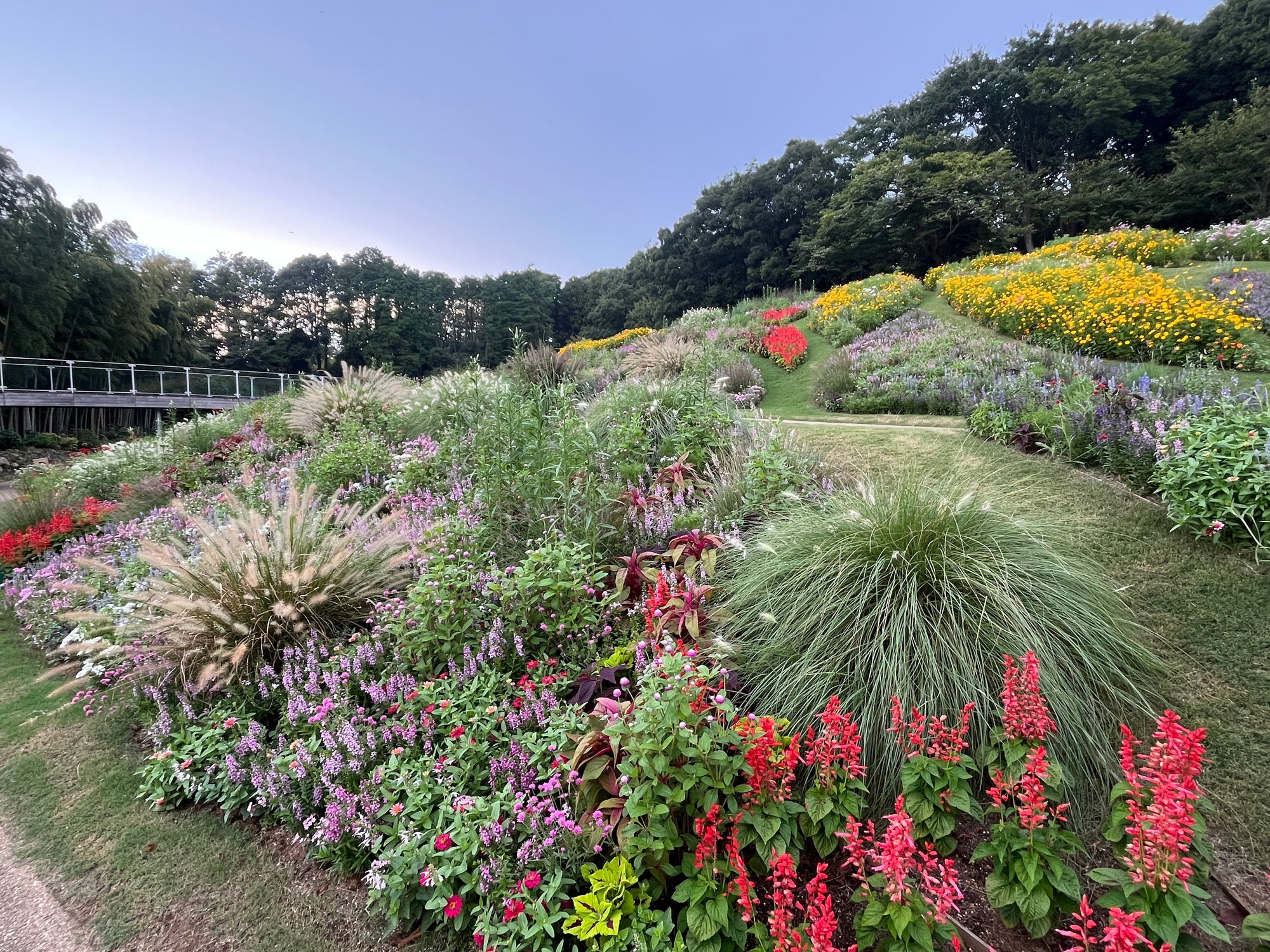 港区 六本木 花屋 ゴトウフローリスト 里山ガーデン