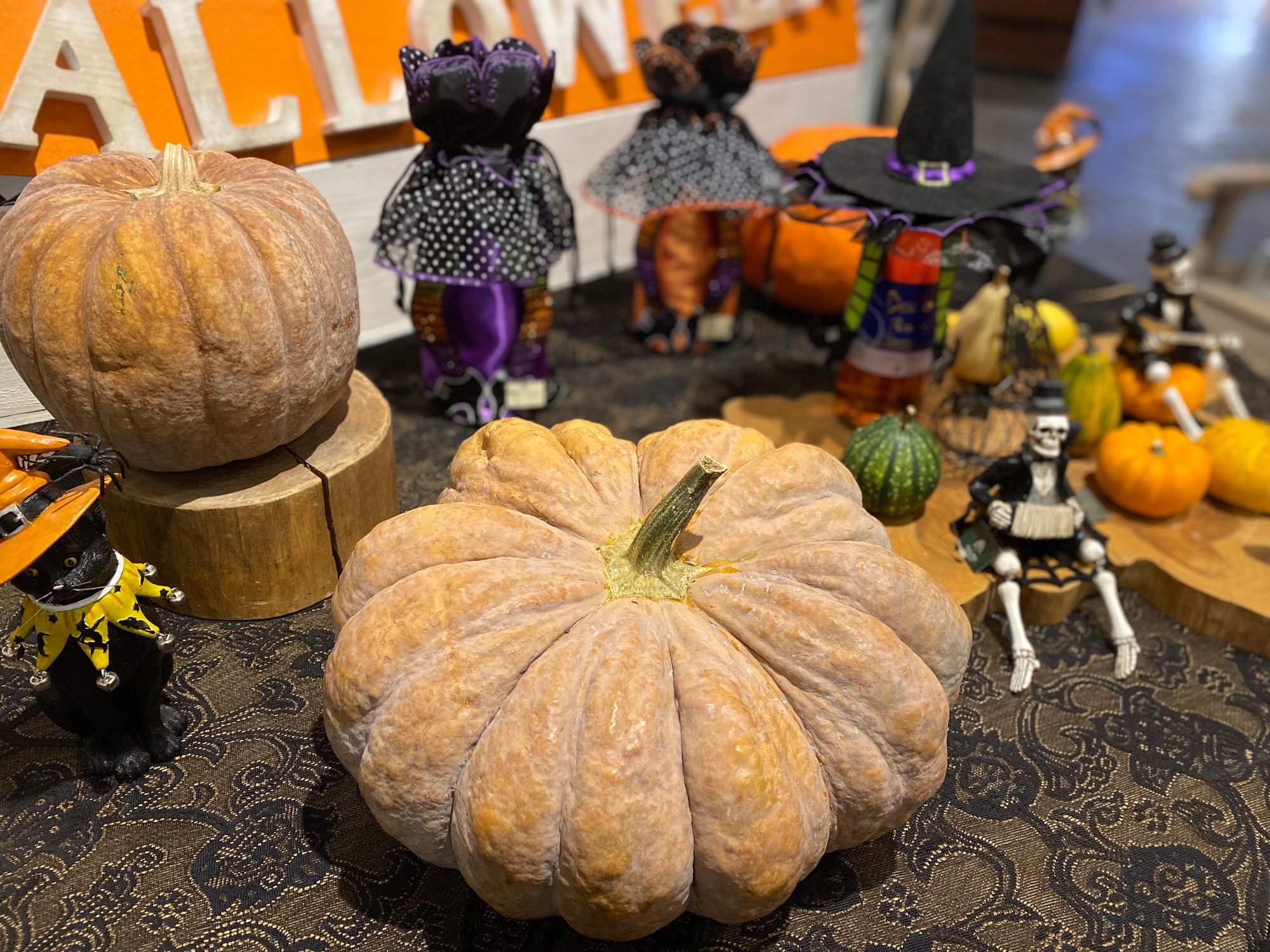 港区 六本木 花屋 ゴトウフローリスト ハロウィン