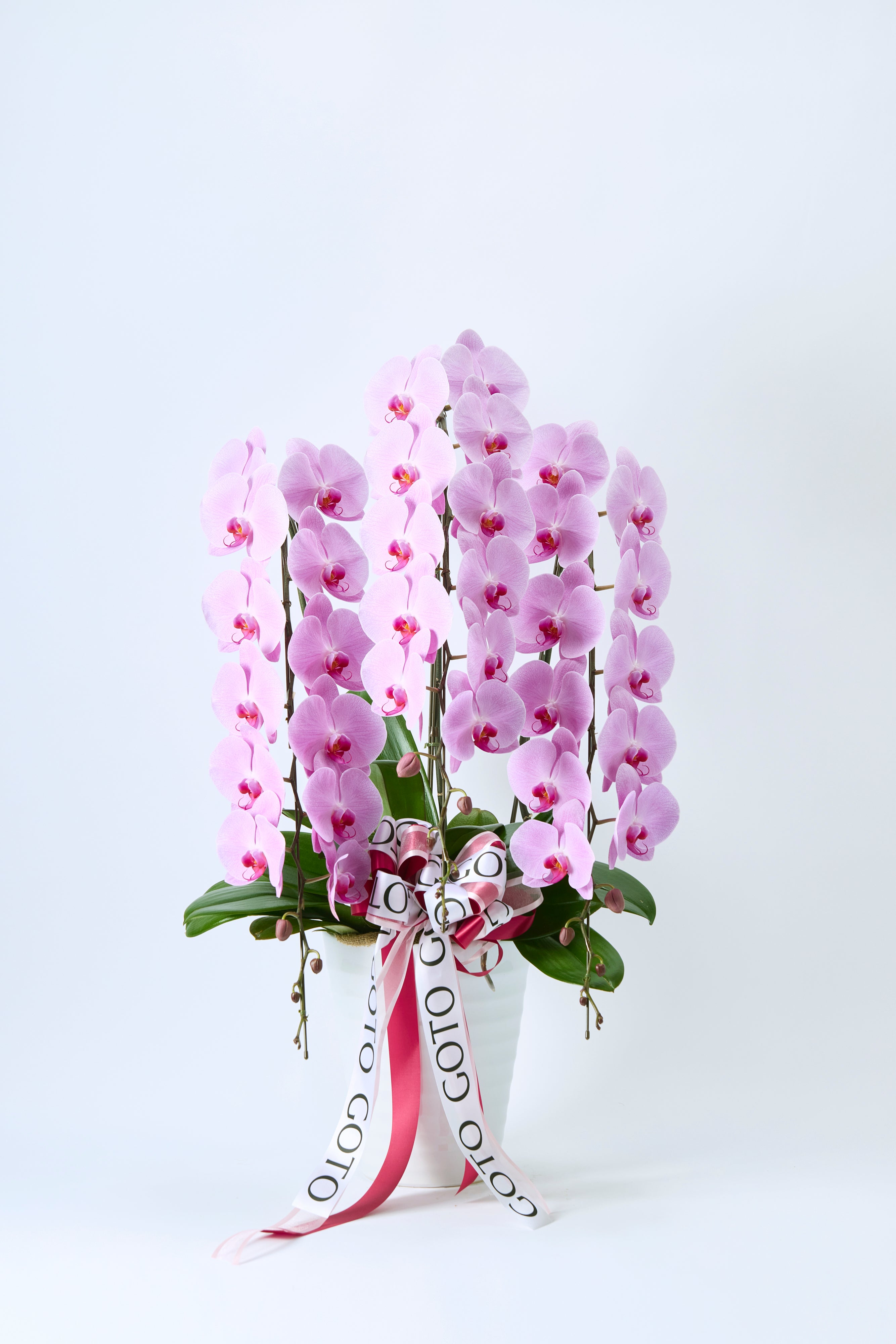 ☆様　ローズクォーツ蝶々　2 ローズクォーツ ハート14×18mm 【横穴】 3個｜天然石ビーズの卸問屋