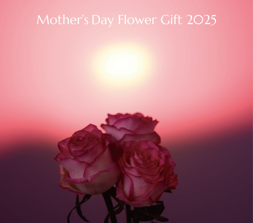 Mother's Day Flower Gift