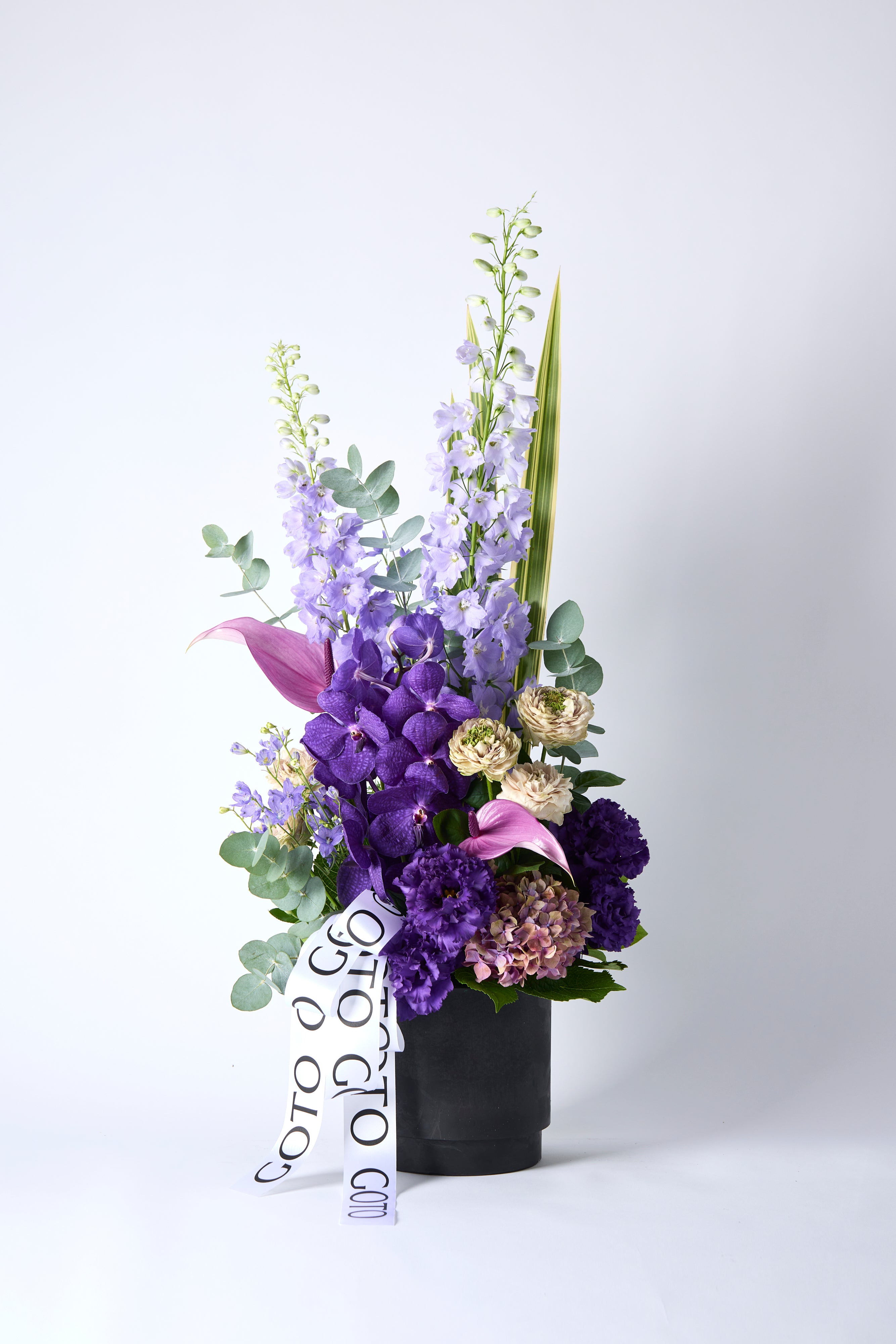 花藤　藤　紫花　/ 572 all