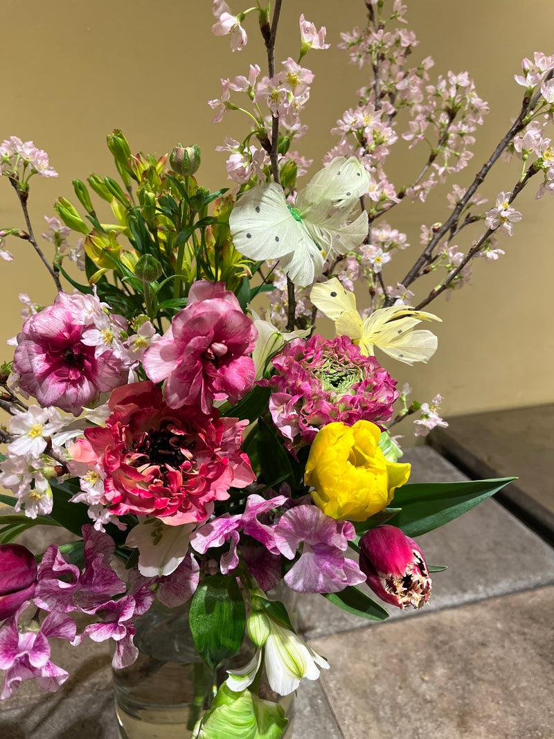 レギュラーレッスン