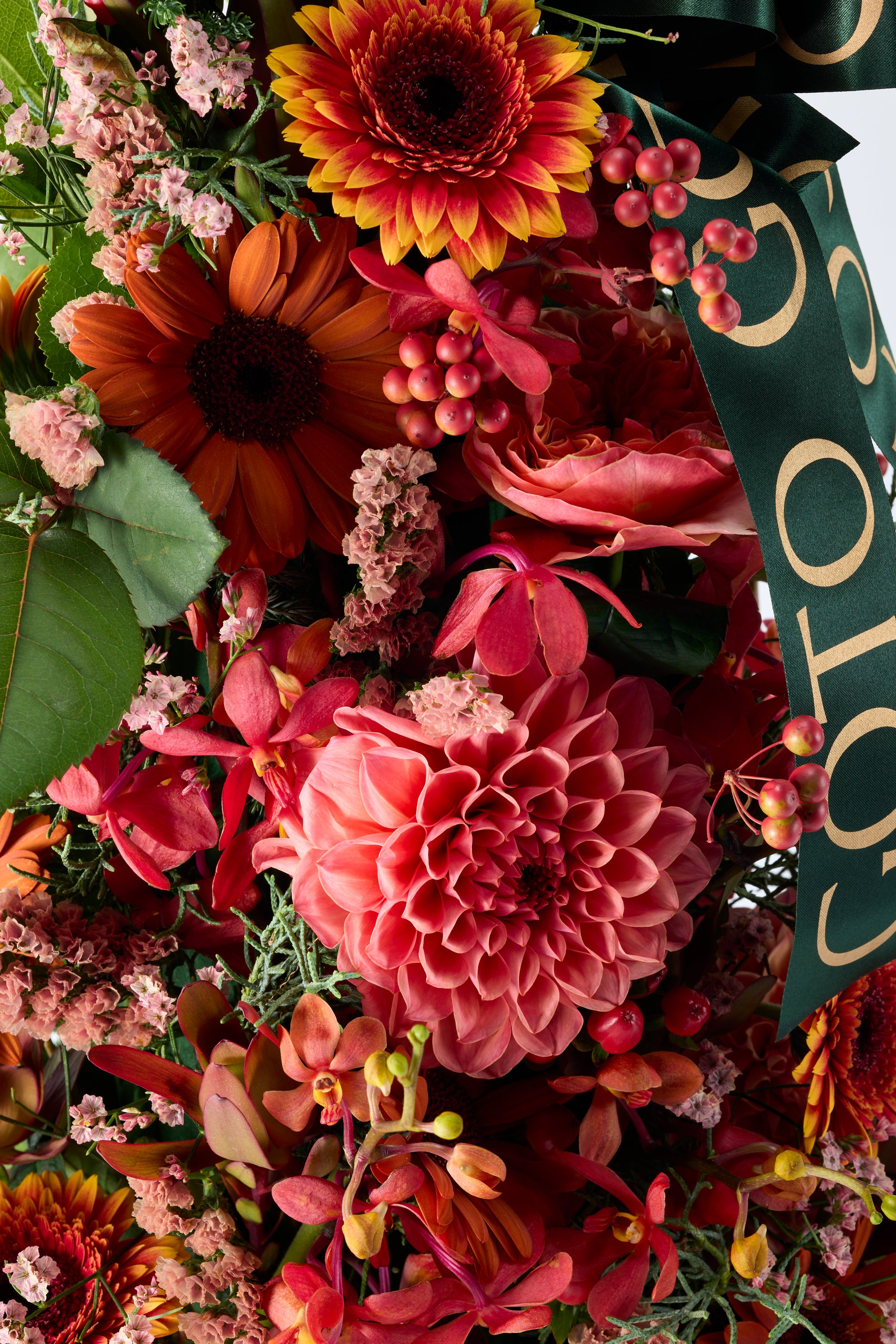 Amber Noel《アンバーノエル》