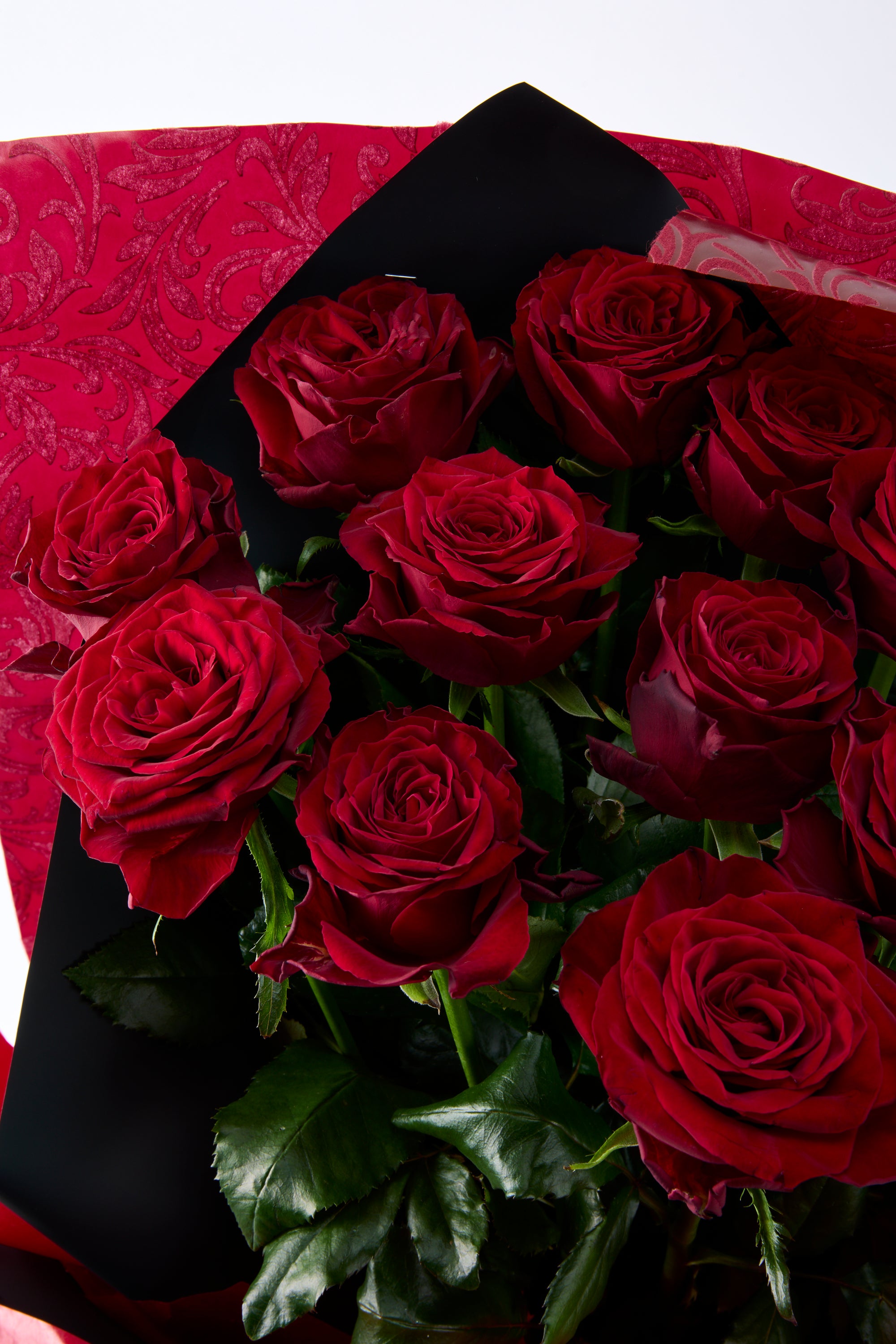 GOTO ROSE – Passion 12《ゴトウローズ・パッション12》