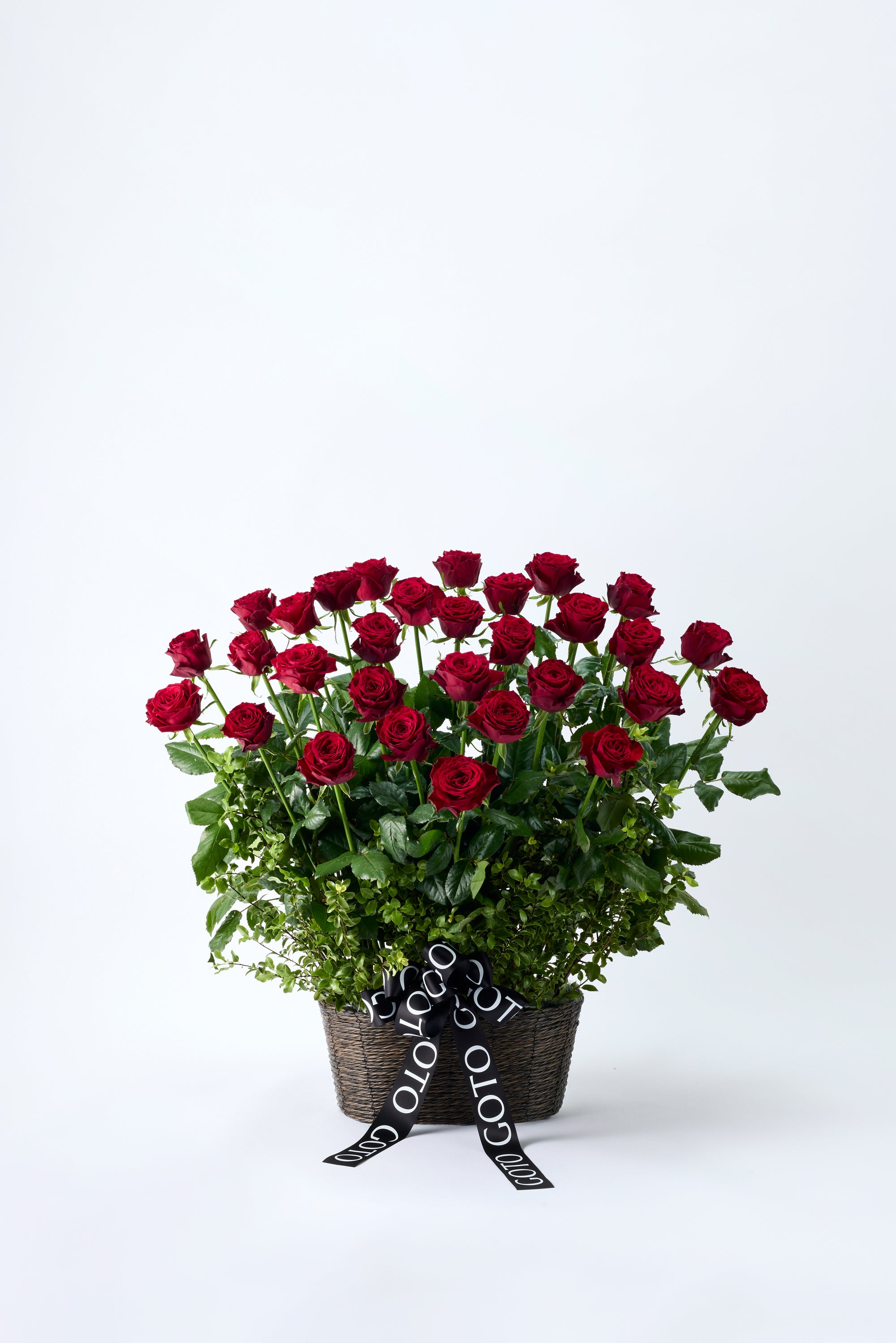 GOTO ROSE – Radiant Parallel《ゴトウローズ・ラディアントパラレル》