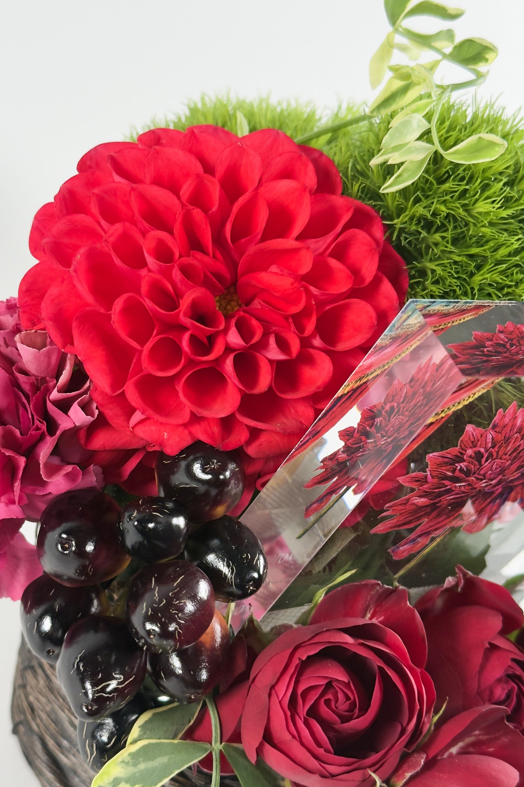 Crimson Echo《クリムゾンエコー》