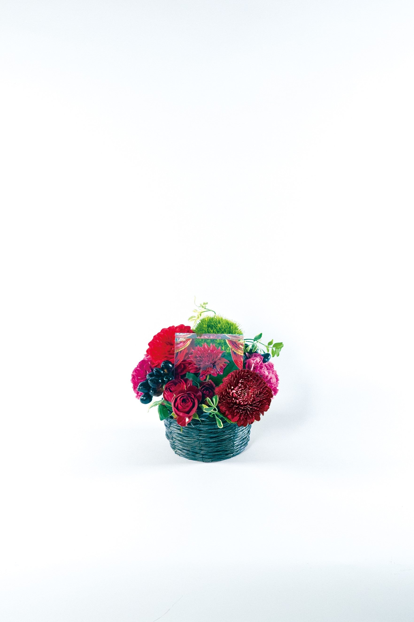 Crimson Echo《クリムゾンエコー》