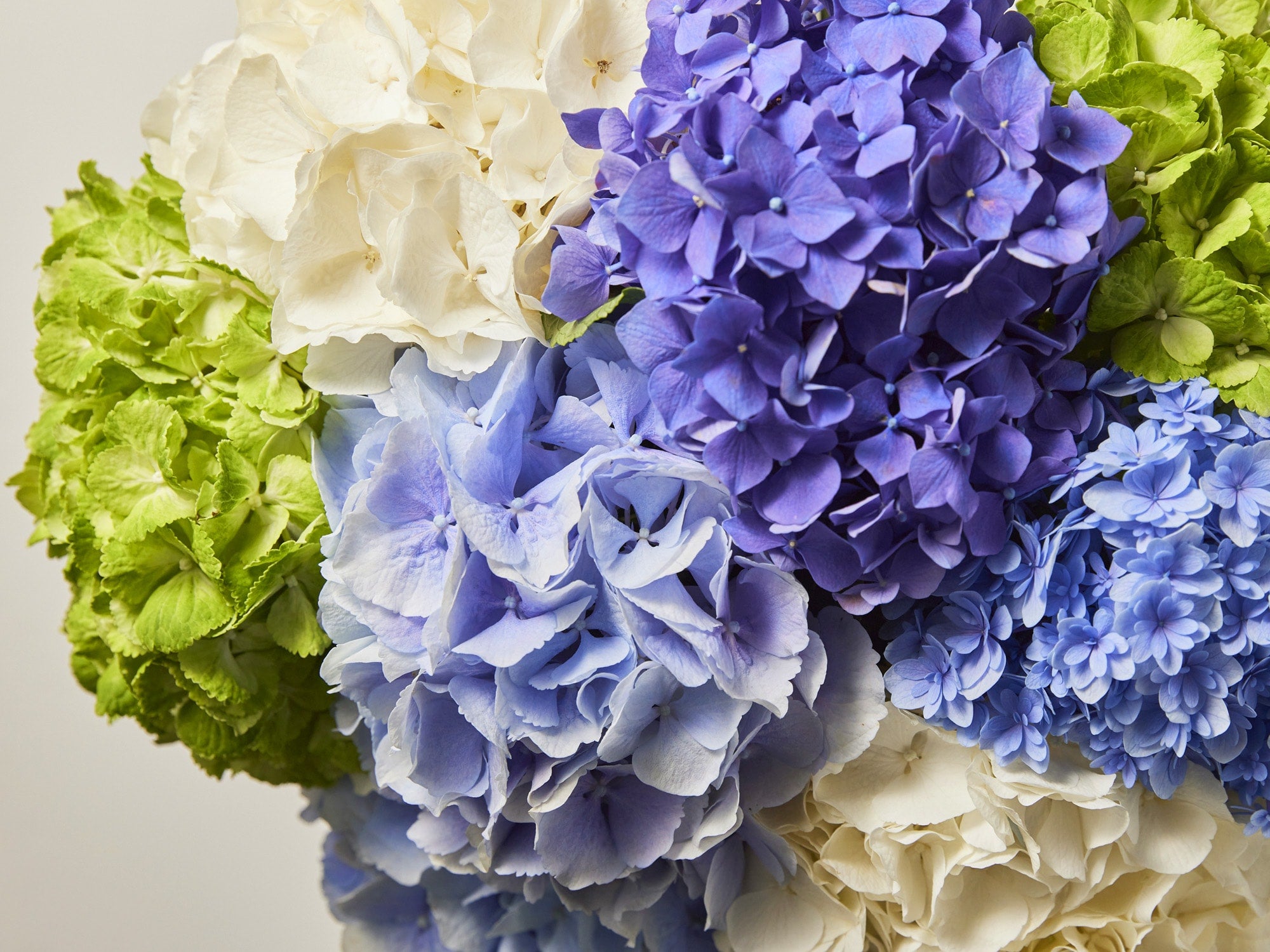 最高品質の花をお届け｜ゴトウフローリスト – ゴトウフローリストオンラインショップ